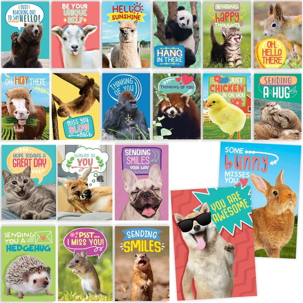 Paquete de 40 tarjetas postales divertidas con diseño de animales que piensan en ti para niños