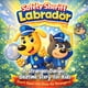 thumbnail image 1 of Libro ilustrado de seguridad para niños Safety Sheriff para edades de 4 a 8 años, 1 of 1