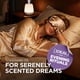 thumbnail image 2 of Aceite Esencial Gya Labs Spikenard 10 ml para Aromaterapia, 2 of 6