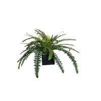 Corel - Arreglo De Helecho Boston 55Cm Con Acabado Natural