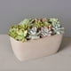 thumbnail image 2 of Jardinera Cemento Alta 24cm - 731, 2 of 3