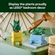 thumbnail image 2 of LEGO Botanicals Happy Plants Set 10349 Decorativo, 2 of 3