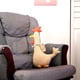 thumbnail image 3 of Muñeco Juguete Apego Gallo Ganso Jirafa Bebes Lau, 3 of 3