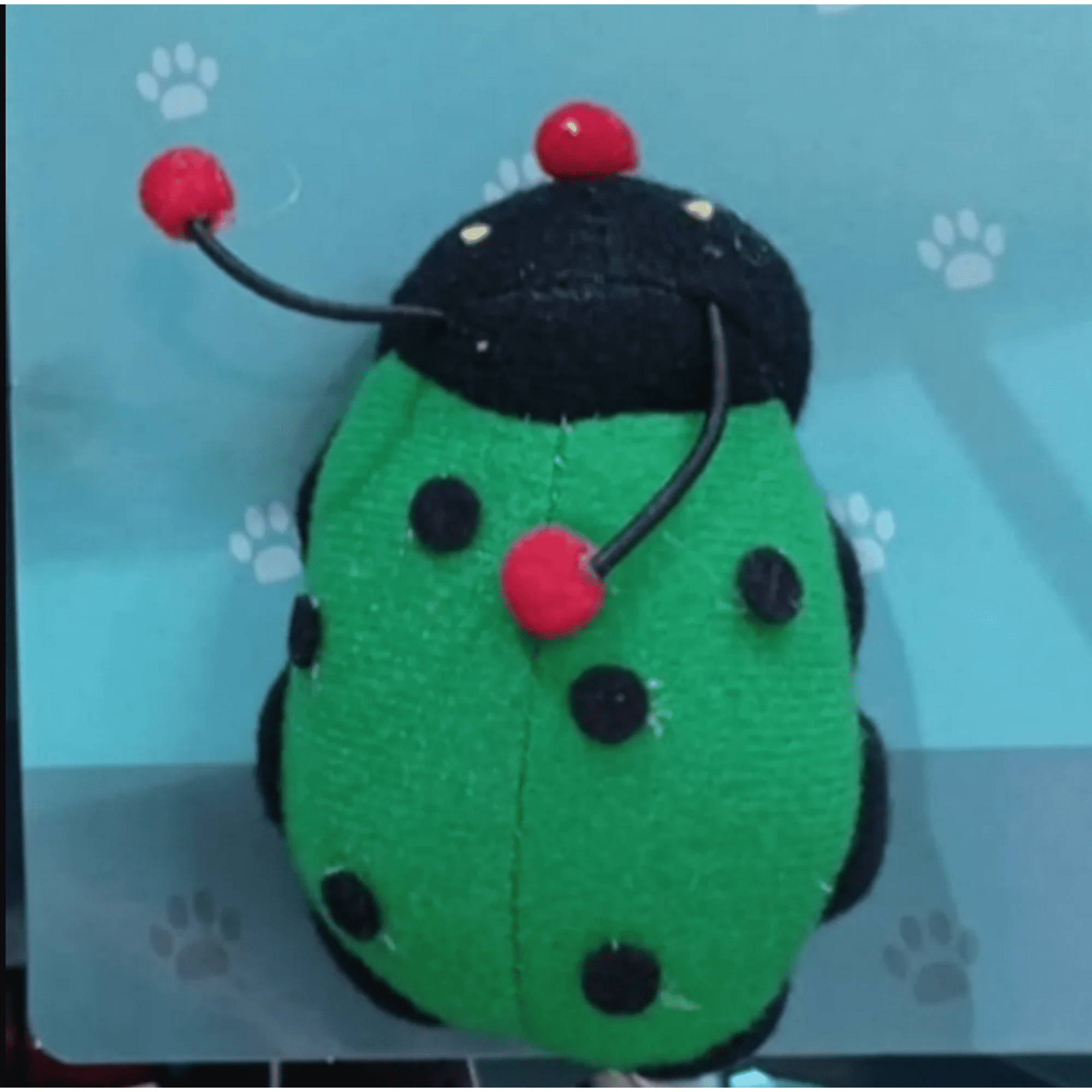 Genérico - Juguete Chinitas A Cuerda Para Gatos Verde