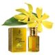 thumbnail image 5 of Perfume Concentrado SCUS Ylang Ylang Floral 12 ml, 5 of 6