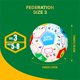 thumbnail image 4 of Pelota de Fútbol Crayola Talla 3 para Niños Educativa con Multiplicación, 4 of 6