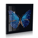 thumbnail image 2 of Pintura Decorativa Con Diseño De Mariposa Azul Arte Precioso, 2 of 5