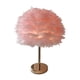 thumbnail image 5 of Lámpara De Mesa De Plumas Pantalla De Luz De Noche Para La Decoración De La Habitación Del Hogar De La Cabecera Rosa, 5 of 5