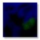 thumbnail image 1 of Saxofón True Flow Colorburst de Glaze COLORAMICS LLC, 473 ml, 1 of 2