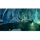 thumbnail image 4 of Videojuego Deep Rock Galactic Special Edition Playstation 5, 4 of 9