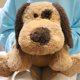 thumbnail image 5 of Juguete de peluche para perros WEIGEDU Floppy Beagle Labrador, 50 cm, marrón, 5 of 9