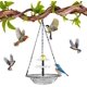 thumbnail image 1 of Baño pájaros solar colgante cuenco vidrio exterior fuente agua aves silvestres, 1 of 8