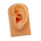 thumbnail image 4 of Modelo De Oreja Suave De Silicona Herramienta De Ense?anza Apoyos De Pantalla Piel, 4 of 5