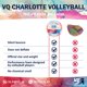 thumbnail image 2 of Voleibol VQ Sports 20‑21 cm Suave para Interior y Silencioso, 2 of 7
