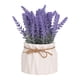 thumbnail image 5 of Juego De Jarrón Artificial Para El Hogar Con Planta En Maceta De Lavanda Para Comedor, Hotel, Cocina, Estilo B, 5 of 5