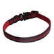 thumbnail image 4 of Collar De Nailon Para Perro, Hebilla De Liberación Rápida, Collares Para Cachorros, Collar Duradero Para Gato Y Mascota, Color Rojo, 4 of 5