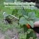 thumbnail image 3 of Herramienta para quitar maleza Weivone, eliminador de maleza de acero al manganeso, 3 of 7
