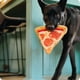 thumbnail image 3 of Pupy Roni Pizza - Peluche sensorial para perros, 3 of 5