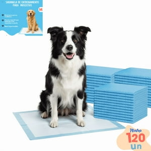 Telotenemos - 120 Pañales Sabanillas Entrenamiento Absorbentes Mascota Perros Y Gatos 60X60Cm