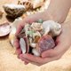 thumbnail image 5 of Sea Shells WEOXPR, 200 unidades, playa mixta, océano, para manualidades y niños, 5 of 6