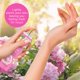 thumbnail image 3 of Bruma corporal Bodycology Pink Vanilla Wish 240 ml de larga duración, 3 of 3