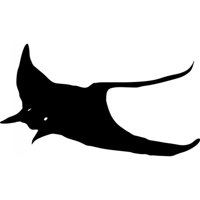 Rienda Libre Graphics - Decomural Stingray Under The Sea Pack Ws-33238