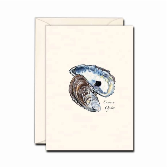 Juego de Tarjetas de Nota Earth Sky + Water - 8 unidades