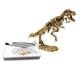 thumbnail image 5 of Los Kits De Excavación De Dinosaurios Para Niños Cavan Un Dinosaurio De Juguete Educativo Tyrannosaurus, 5 of 5