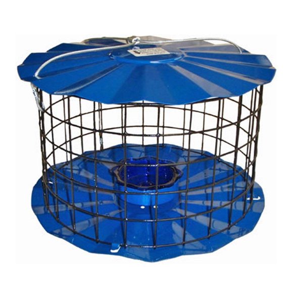 Alimentador Erva anti‑estorninos con recubrimiento azul en polvo para azulejos