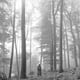 thumbnail image 1 of Folclore del CD Taylor Swift, 1 of 1