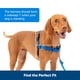 thumbnail image 5 of Arnés para perros PetSafe Easy Walk Stop, tamaño mediano, 5 of 6