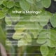 thumbnail image 3 of Café Livingood Daily con moringa molido tueste medio 350 mL, 3 of 7
