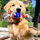 thumbnail image 3 of Set 5 Juguetes Para Mascota Pelota De Goma Perros Lau, 3 of 3