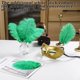 thumbnail image 5 of Plumas de avestruz verdes SOGUGOM 30 uds 20-25 cm, 5 of 6