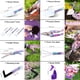 thumbnail image 3 of Juego De Herramientas De Jardín De 10 Piezas Con Estampado Floral Y Estuche, 3 of 7