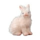 thumbnail image 5 of Figuras De Conejo, Juguetes, Figuras De Animales, Juguetes Para Regalos De Fiesta, Juguetes Cognitivos Para Ni?os Peque?os, 5 of 5
