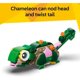 thumbnail image 3 of LEGO Creator Tortuga con Lirio de Agua Set 31377 3 en 1, 3 of 3