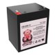 thumbnail image 1 of Batería Charity Battery 12V 5Ah SLA con terminales F1, 1 of 6
