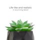 thumbnail image 5 of Juego de 4 suculentas artificiales Nordik By Design en negro mate, 5 of 6
