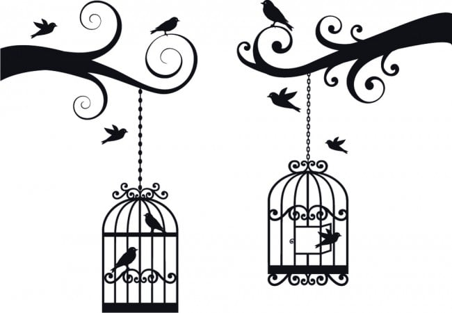 Rienda Libre Graphics - Decomural Tree Branch Bird Cage Ws-47616
