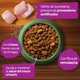 thumbnail image 4 of Alimento Seco Gato Adulto Bueno por Naturaleza Sabor Salmón Bolsa, 4 of 8