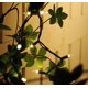 thumbnail image 5 of Luces de cadena NOMA/INLITEN-IMPORT 50 unidades claras, 5 of 7
