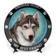 thumbnail image 1 of Husky siberiano Plato decorativo de porcelana fina (bone china), plato decorativo de cerámica para hogar, oficina, soporte de pared, platos decorativos para dormitorio - 6 pulgadas (15 cm), 1 of 6