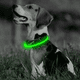 thumbnail image 5 of Collar LED para perros - Collar para perros con luz recargable por USB que brilla en la oscuridad., 5 of 6