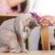 thumbnail image 5 of Cepillo Slicker Flexible Groomer Essentials de Cabeza Única Mediano Firme, 5 of 8