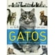 thumbnail image 1 of GRAN LIBRO DE LOS GATOS, 1 of 3