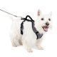 thumbnail image 1 of Arnés para perros PetSafe EasySport acolchado, ajustable, pequeño, 1 of 6