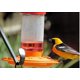 thumbnail image 2 of Alimentador para oropéndolos FIRST NATURE 907 ml (2 unidades), 2 of 3