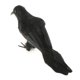 thumbnail image 3 of plumas artificiales cuervos peque?os pájaros cuervos accesorios decoración de Halloween # 1 negro, 3 of 3