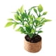 thumbnail image 5 of 1/12 Casa De Muñecas Plantas En Macetas De Plástico Micro Decoración De Paisaje Suministros De Paisaje, 5 of 5